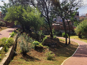 Colonia Cayetano Andrade brilla con limpieza integral del Ayuntamiento de Morelia