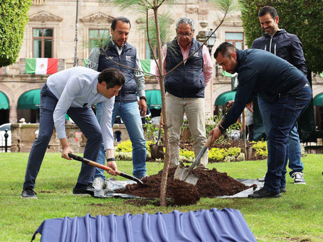 Alfonso Martínez planta el árbol "un millón" en Morelia