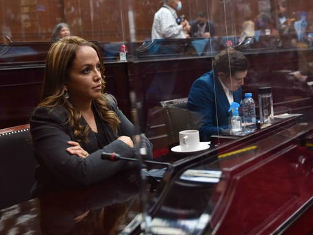 Necesario fijar límites al poder público: Andrea Villanueva