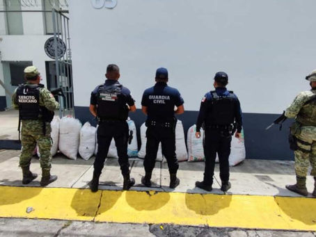 Guardia Civil y Sedena aseguran 120 kilos de marihuana en Queréndaro