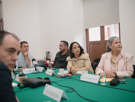 Consigue Andrea Villanueva asignación de recursos para los sectores más vulnerables de Michoacán