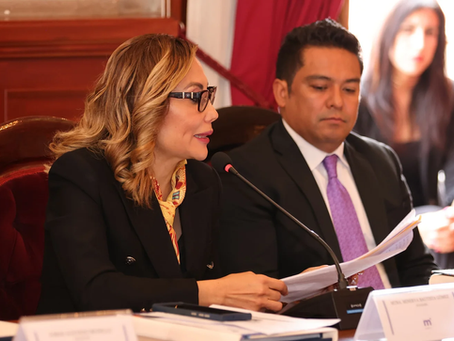 No queremos sumisión ni invasión en las facultades de cada nivel y poder: Minerva Bautista