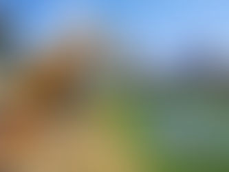 Continúan jornadas de limpieza en varios puntos de Morelia