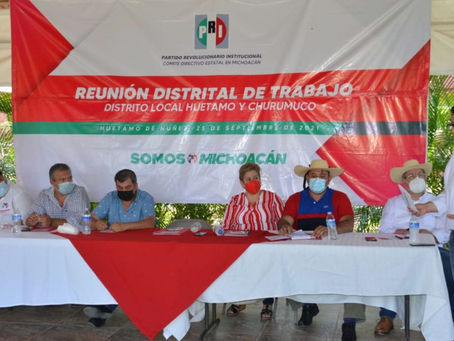 El PRI requiere actualizar y revisar sus estructuras: Eligio González