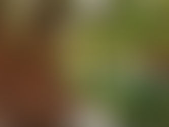 Recibirá Camécuaro histórica inversión de 25 mdp para mejora turística