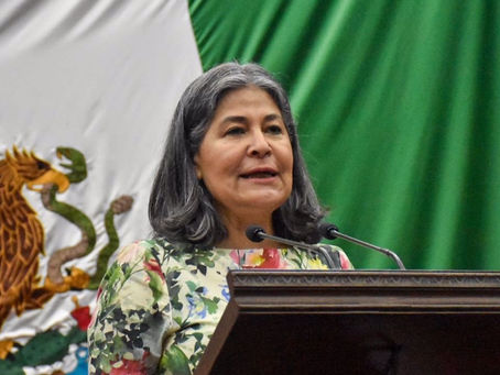 Propone Mayela Salas sanciones a elementos de tránsito que abusen de su cargo