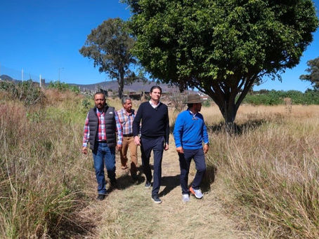 Alfonso Martínez anuncia rescate del Arboretum
