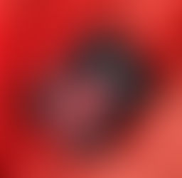 Notes on A Handmaid's Tale by Margaret Atwood