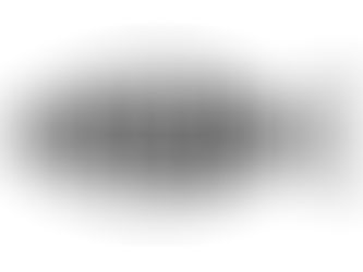 WHAT WOULD JESUS DO?