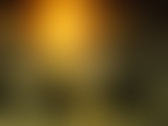 THE SCANDAL AND THE EPIPHANY