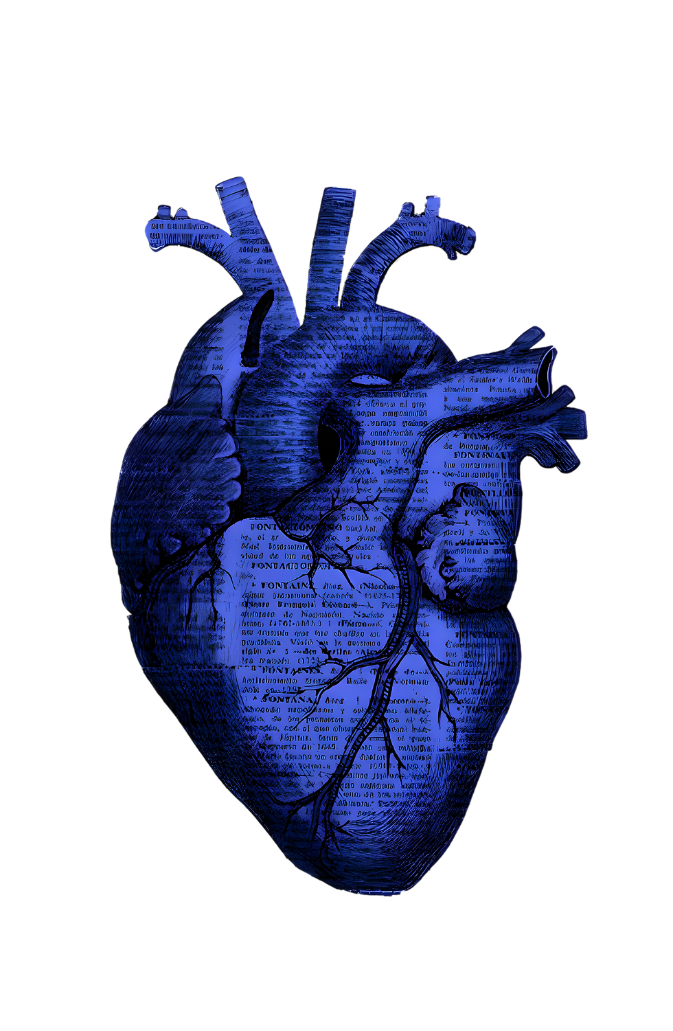 8a860b68-985f-4a75-a95c-d97c78551f77-Photoroom.png