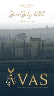 VAS Calendar Historia 1.png