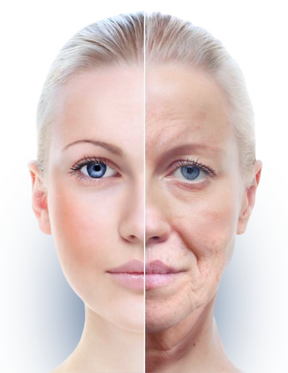 Anti-Aging Skincare Course Image