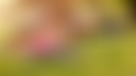 Moving with Your Cycle: How to Align Exercise with Your Hormones for Optimal Fertility