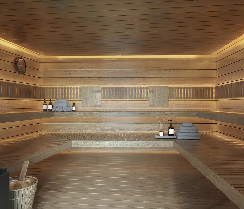 TermicaBeach Sauna.webp