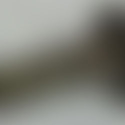 日本刀の美と居合道の精神