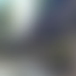 稽古日