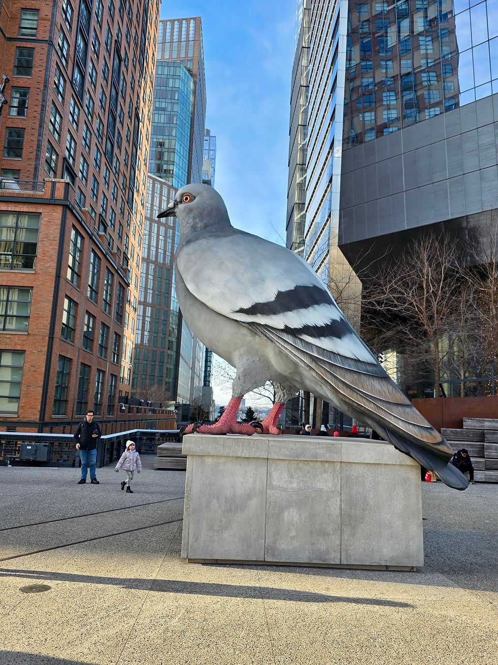 Pigeon Sculpture