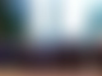 Connecting Black Police Officers with Mentorship and Volunteer Opportunities