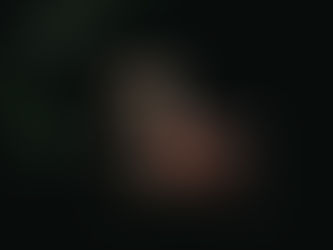 daily wildish nature habit - watch water