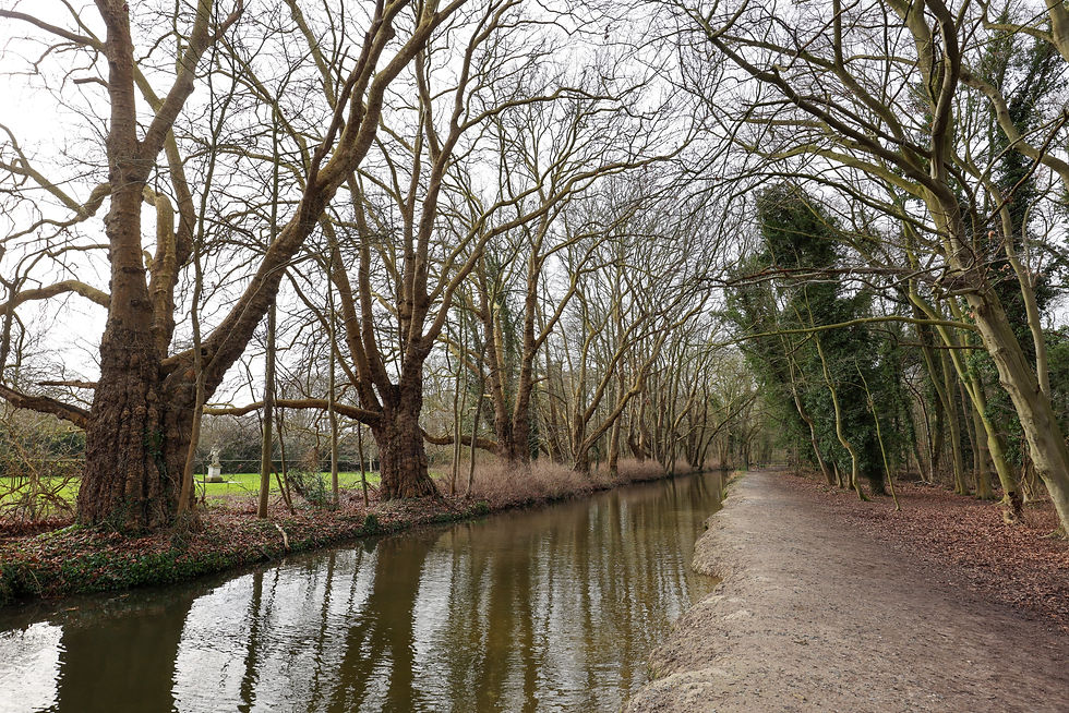 CAMBRIDGE: Wildish Amble – Beyond Anglesey Abbey (Dogs Welcome!)