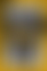 Prisons et Prisonnières