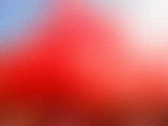 Thousands of devotees in Zambaulim, Goa, throwing vibrant red gulal powder into the air, creating a dense crimson cloud during the 500-year-old spring festival.