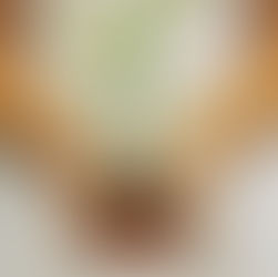 Mastering our Personal Year Gardens