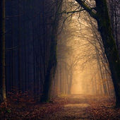                 March Monthly Forecast                   