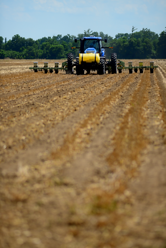 Tractor pulling row seeder in field