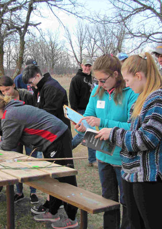 Students identifying aquatic insects and plants