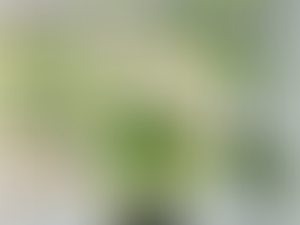 HAF is Growing — and So Are Our Pencils!