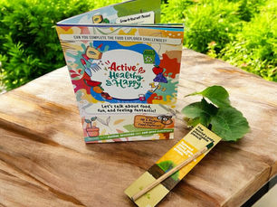 The world’s only plantable pencil