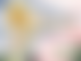 Sous les Sakuras - spectacle 2026