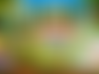 Food Explorer Quest with Free Plantable Pencil