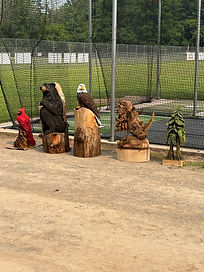 2025 wood.jpeg