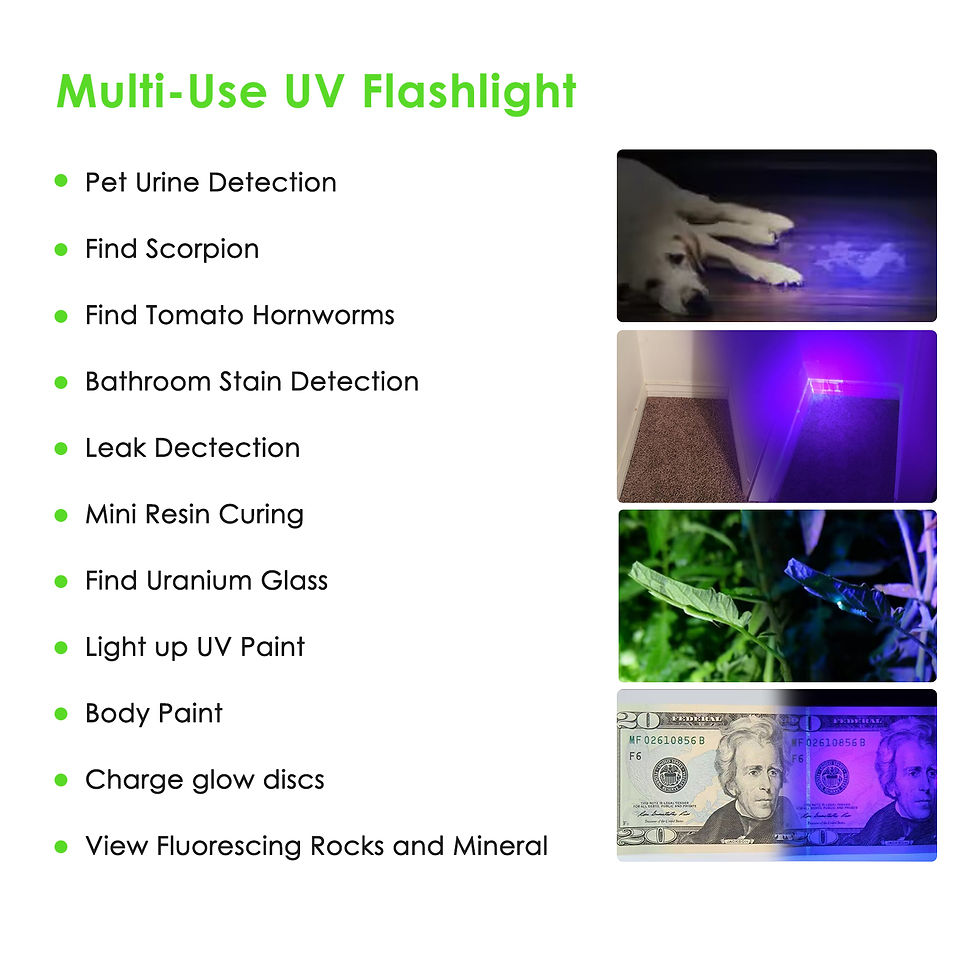 Thumbnail: ESCOLITE UV FLASHLIGHT 51LED