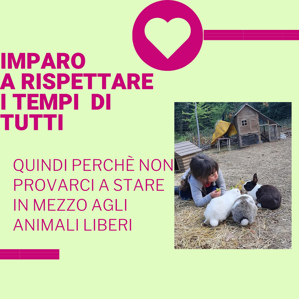 Miniatura: Passeggiata con  gli animali