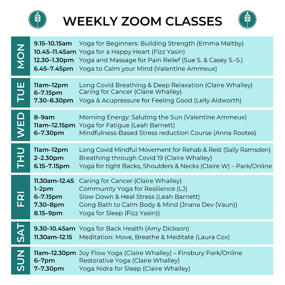 weekly zoom classes (8).png