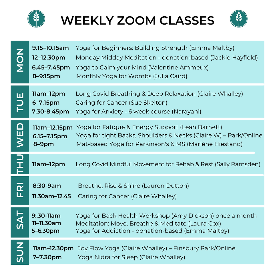 weekly zoom classes (4).png