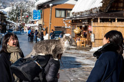 Shirakawago 2017