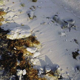 Rocky, sandy shoreline with scattered stones and patches of brown, dried seaweed. The texture and shadows create a serene, natural scene.