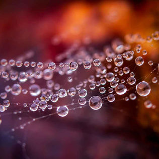 Close-up of dewdrops on a spider web against a soft, blurred backdrop of warm oranges and reds, creating a feeling of serenity and delicate beauty.