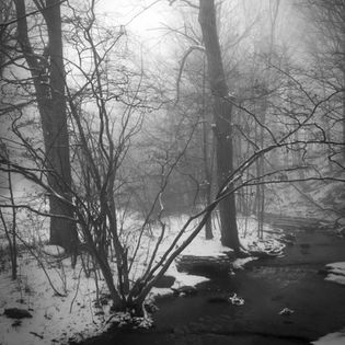 Foggy monochrome winter forest scene with tall, bare trees lining a gentle, winding creek. Snow blankets the ground, creating a serene, mysterious atmosphere.