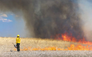 Firefighter watches wildfire burn in dry field with smoke and flames rising.