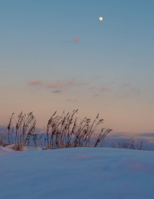 A bright moon illuminates a serene snowy landscape, casting soft shadows on the glistening snow below.
