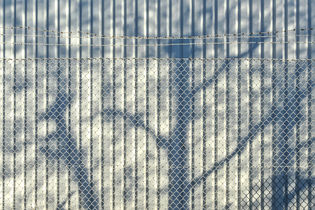 Metal fence with tree shadows on a bright, sunny day.