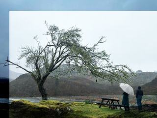 Two people stand by a river under a tree on a grey, rainy day. One holds a white umbrella. A picnic table sits nearby on mossy ground.