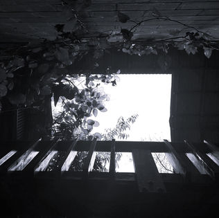 Wooden structure with open window, leaves, and vibrant sky peeking through.