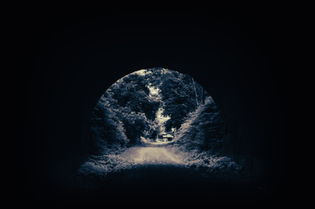 View from inside a dark tunnel looking out to a sunlit dirt path lined with dense, leafy trees. The scene evokes a sense of mystery and contrast.